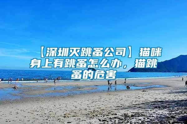 【深圳滅跳蚤公司】貓咪身上有跳蚤怎么辦，貓?zhí)榈奈：?/></p>
             <p style=