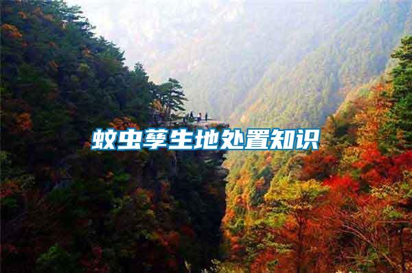 蚊蟲(chóng)孳生地處置知識(shí)