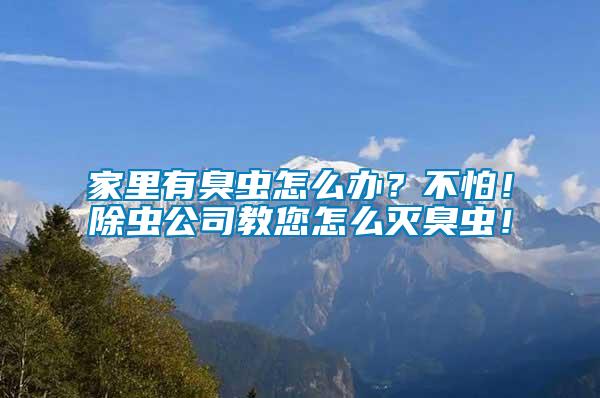家里有臭蟲怎么辦？不怕！除蟲公司教您怎么滅臭蟲！
