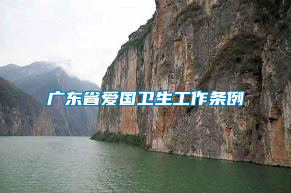廣東省愛(ài)國(guó)衛(wèi)生工作條例