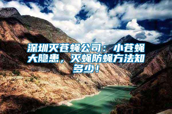深圳滅蒼蠅公司：小蒼蠅大隱患，滅蠅防蠅方法知多少！