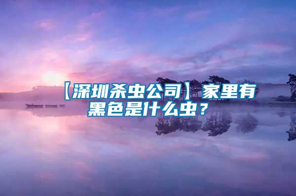 【深圳殺蟲公司】家里有黑色是什么蟲？