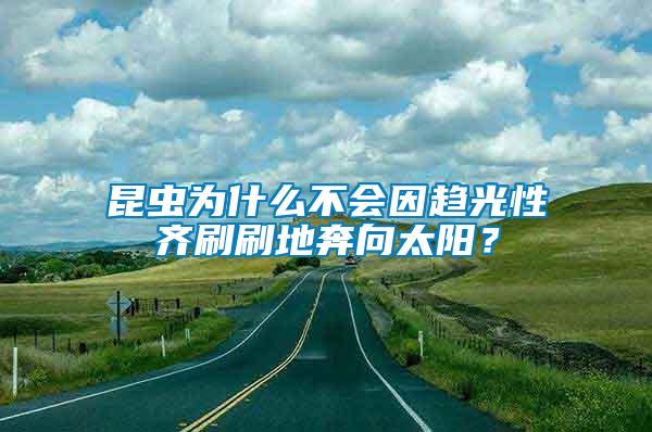 昆蟲為什么不會(huì)因趨光性齊刷刷地奔向太陽？