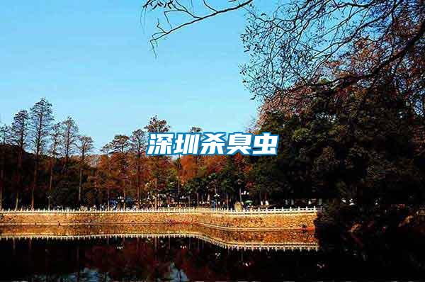 深圳殺臭蟲(chóng)