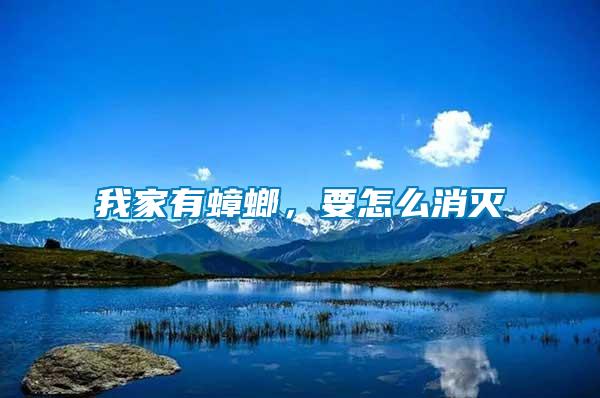 我家有蟑螂，要怎么消滅