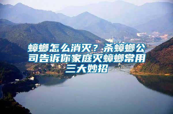 蟑螂怎么消滅？殺蟑螂公司告訴你家庭滅蟑螂常用三大妙招