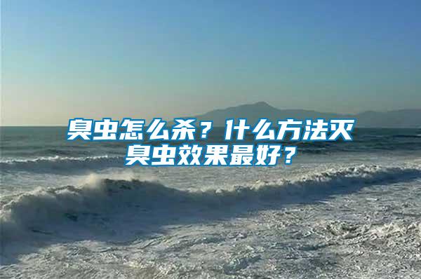 臭蟲怎么殺？什么方法滅臭蟲效果最好？