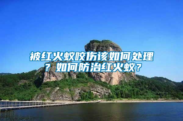 被紅火蟻咬傷該如何處理？如何防治紅火蟻？