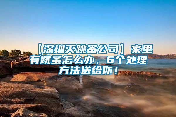 【深圳滅跳蚤公司】家里有跳蚤怎么辦，6個(gè)處理方法送給你！