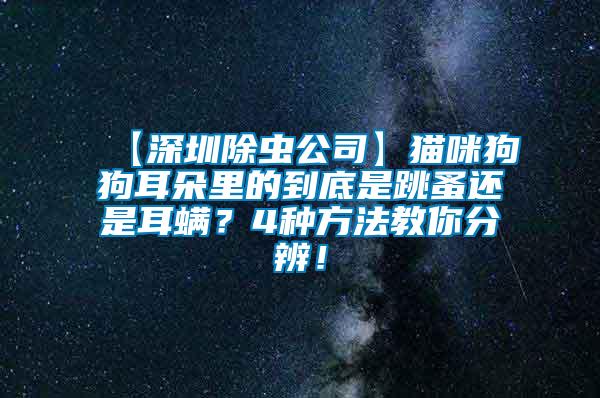 【深圳除蟲(chóng)公司】貓咪狗狗耳朵里的到底是跳蚤還是耳螨？4種方法教你分辨！