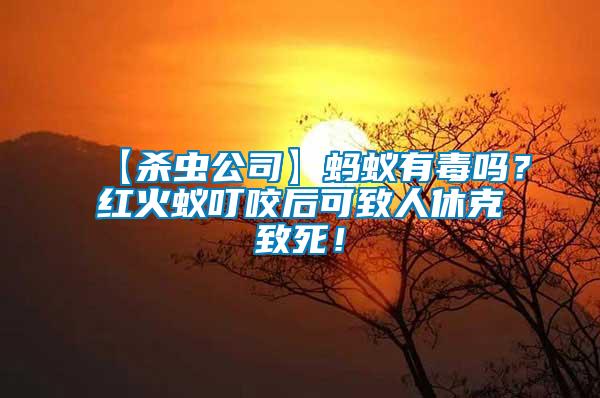 【殺蟲公司】螞蟻有毒嗎？紅火蟻叮咬后可致人休克致死！