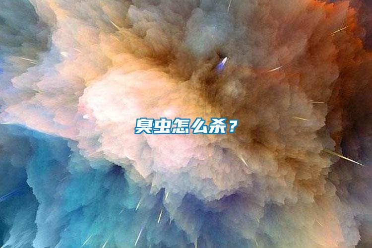 臭蟲怎么殺？