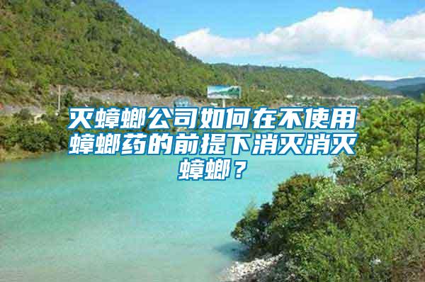 滅蟑螂公司如何在不使用蟑螂藥的前提下消滅消滅蟑螂？
