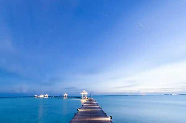 速覽臭蟲的生理習(xí)性、危害及防制方法！