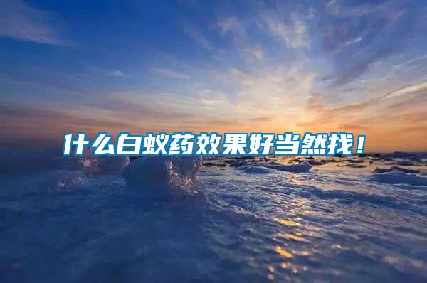 什么白蟻藥效果好當然找！