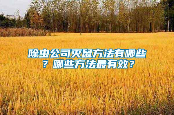 除蟲公司滅鼠方法有哪些？哪些方法最有效？