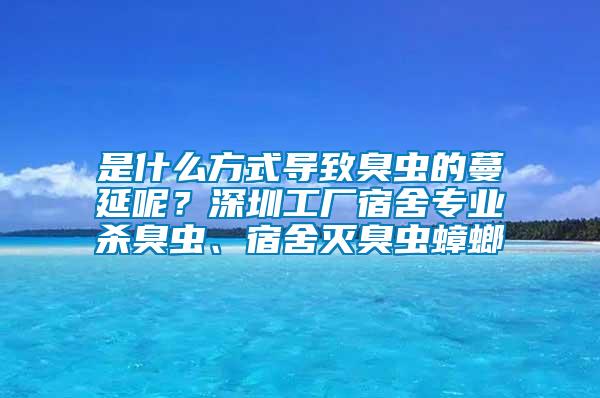 是什么方式導(dǎo)致臭蟲的蔓延呢？深圳工廠宿舍專業(yè)殺臭蟲、宿舍滅臭蟲蟑螂