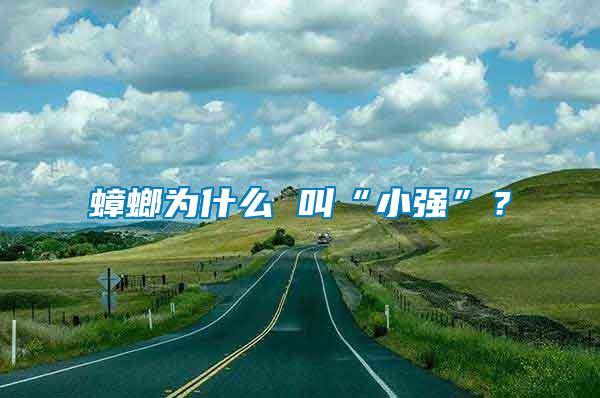 蟑螂為什么 叫“小強(qiáng)”？