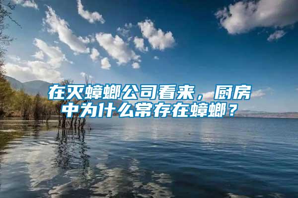 在滅蟑螂公司看來，廚房中為什么常存在蟑螂？