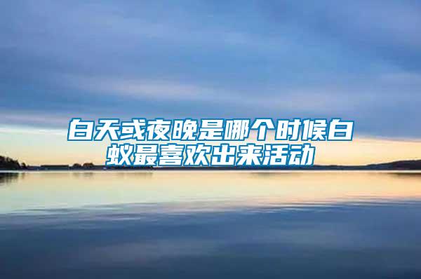 白天或夜晚是哪個(gè)時(shí)候白蟻?zhàn)钕矚g出來(lái)活動(dòng)