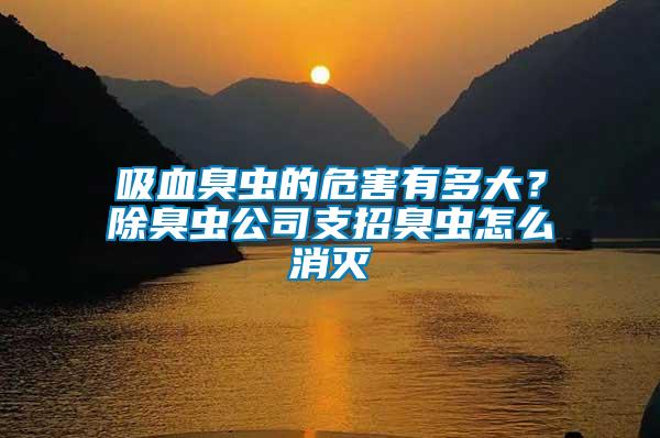 吸血臭蟲的危害有多大？除臭蟲公司支招臭蟲怎么消滅