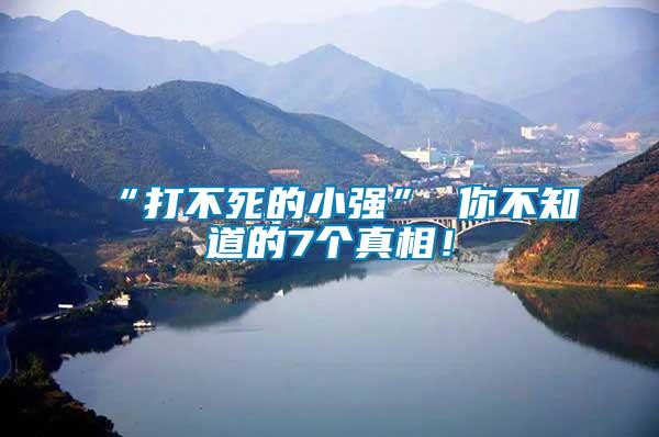 “打不死的小強(qiáng)” 你不知道的7個(gè)真相！