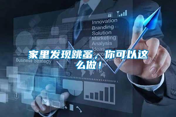 家里發(fā)現(xiàn)跳蚤，你可以這么做！