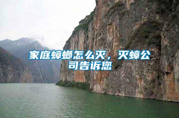 家庭蟑螂怎么滅，滅蟑公司告訴您