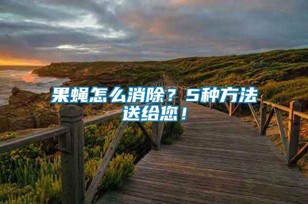 果蠅怎么消除？5種方法送給您！