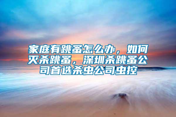 家庭有跳蚤怎么辦，如何滅殺跳蚤，深圳殺跳蚤公司首選殺蟲公司蟲控