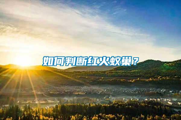 如何判斷紅火蟻巢？