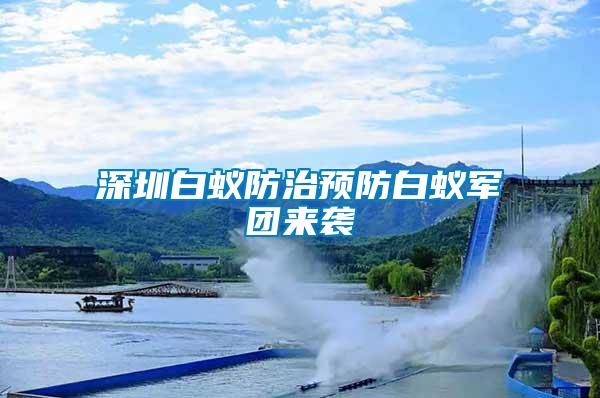 深圳白蟻防治預(yù)防白蟻軍團(tuán)來襲