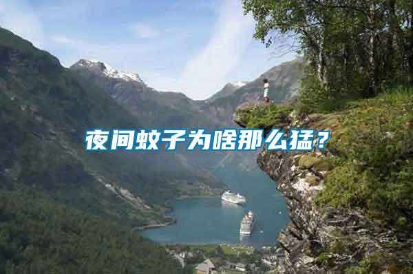 夜間蚊子為啥那么猛？