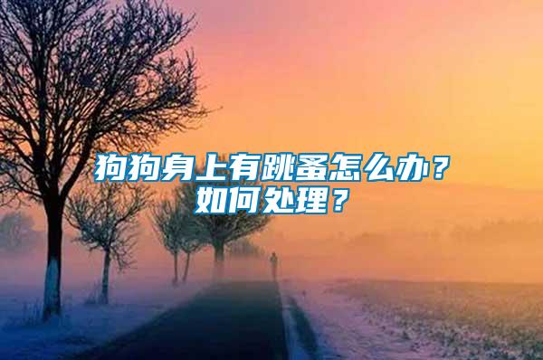 狗狗身上有跳蚤怎么辦？如何處理？