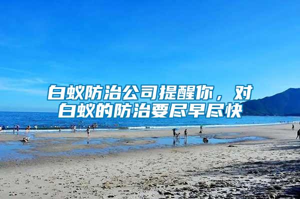 白蟻防治公司提醒你，對(duì)白蟻的防治要盡早盡快