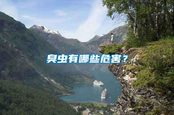 臭蟲有哪些危害？