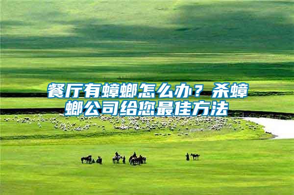 餐廳有蟑螂怎么辦？殺蟑螂公司給您最佳方法