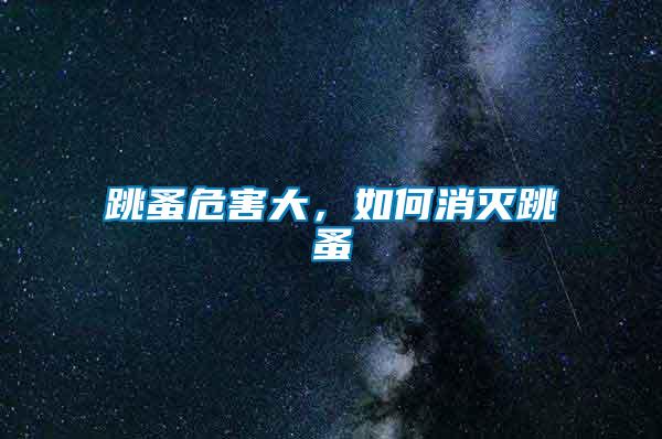 跳蚤危害大，如何消滅跳蚤