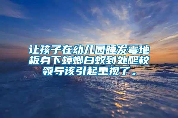 讓孩子在幼兒園睡發(fā)霉地板身下蟑螂白蟻到處爬校領(lǐng)導(dǎo)該引起重視了。