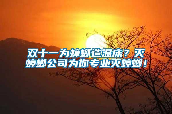 雙十一為蟑螂造溫床？滅蟑螂公司為你專業(yè)滅蟑螂！