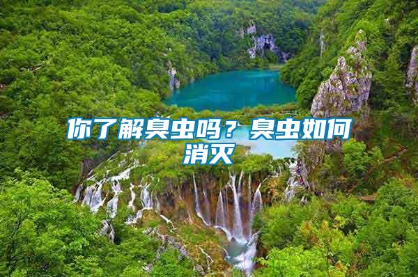 你了解臭蟲嗎？臭蟲如何消滅