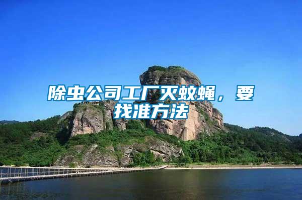 除蟲公司工廠滅蚊蠅，要找準(zhǔn)方法