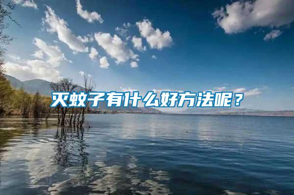 滅蚊子有什么好方法呢？