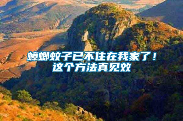 蟑螂蚊子已不住在我家了！這個方法真見效