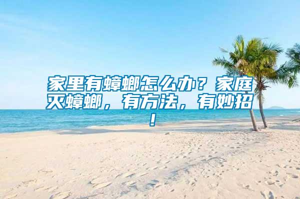 家里有蟑螂怎么辦？家庭滅蟑螂，有方法，有妙招！
