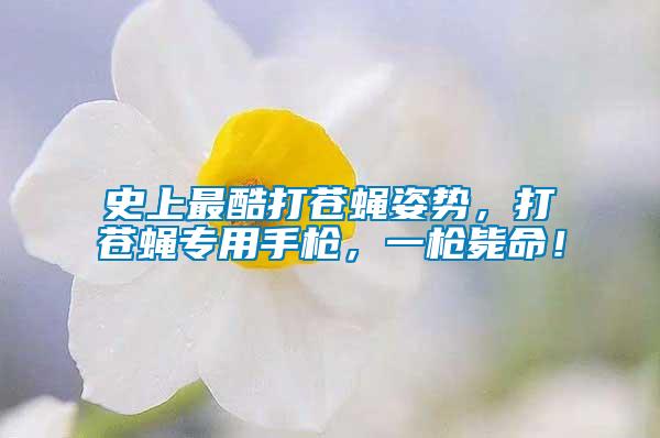 史上最酷打蒼蠅姿勢，打蒼蠅專用手槍，一槍斃命！