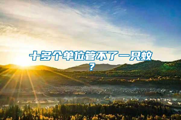 十多個單位管不了一只蚊？