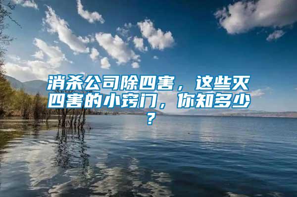消殺公司除四害，這些滅四害的小竅門，你知多少？