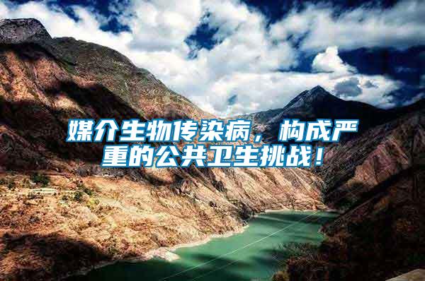 媒介生物傳染病，構(gòu)成嚴(yán)重的公共衛(wèi)生挑戰(zhàn)！
