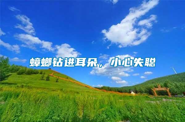 蟑螂鉆進耳朵，小心失聰